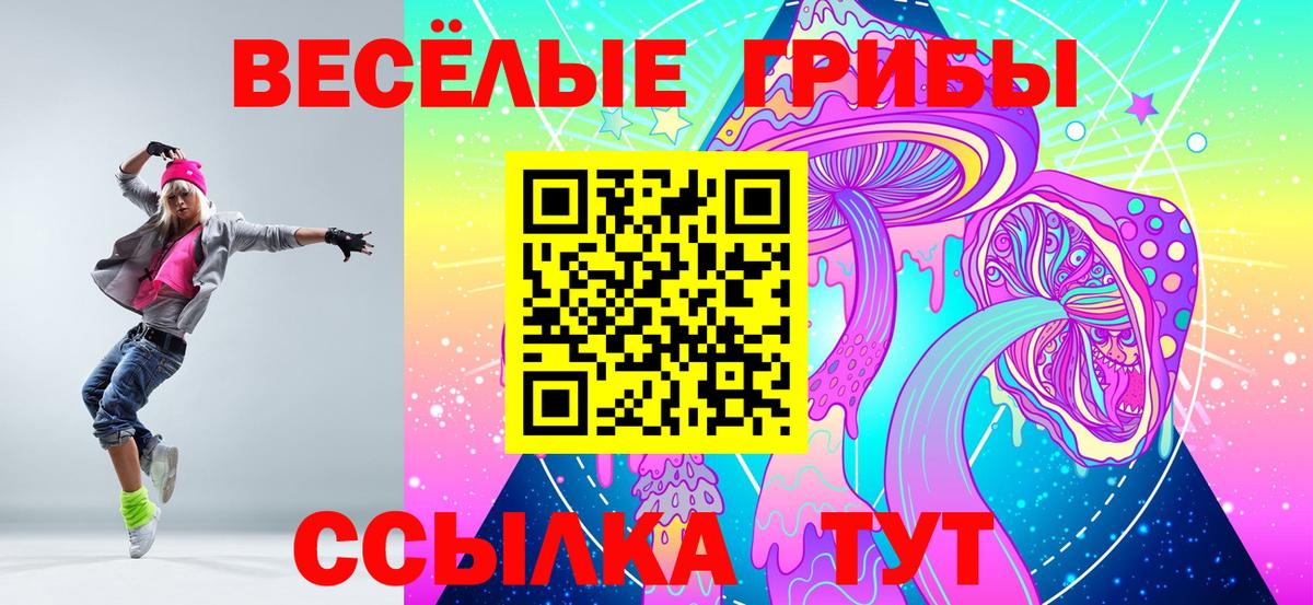 Галлюциногенные грибы мицелий Новоалександровск